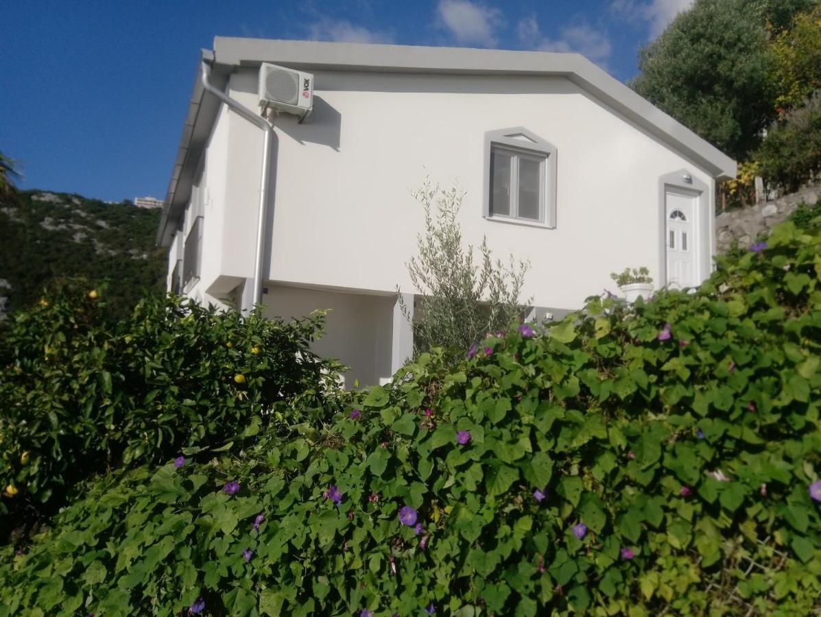 Apartament Blue Horizon Dobra Voda Zewnętrze zdjęcie